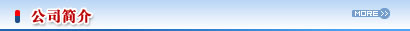 公司簡介